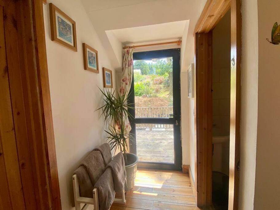 Kingsford Renovated Old Cottage Wexford Exterior photo