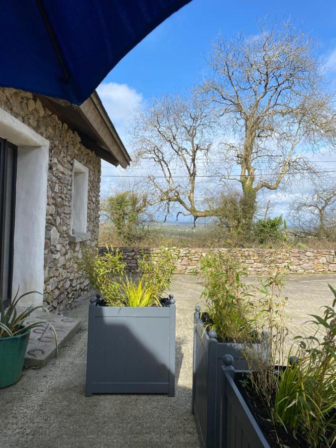 Kingsford Renovated Old Cottage Wexford Exterior photo
