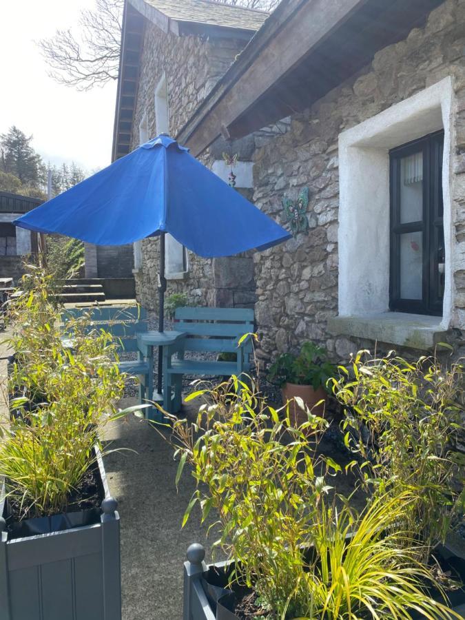 Kingsford Renovated Old Cottage Wexford Exterior photo